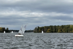 IMG_7805